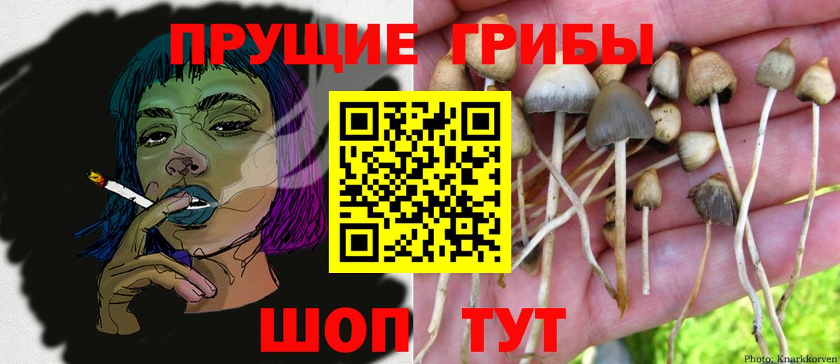 Галлюциногенные грибы мухоморы Ярцево